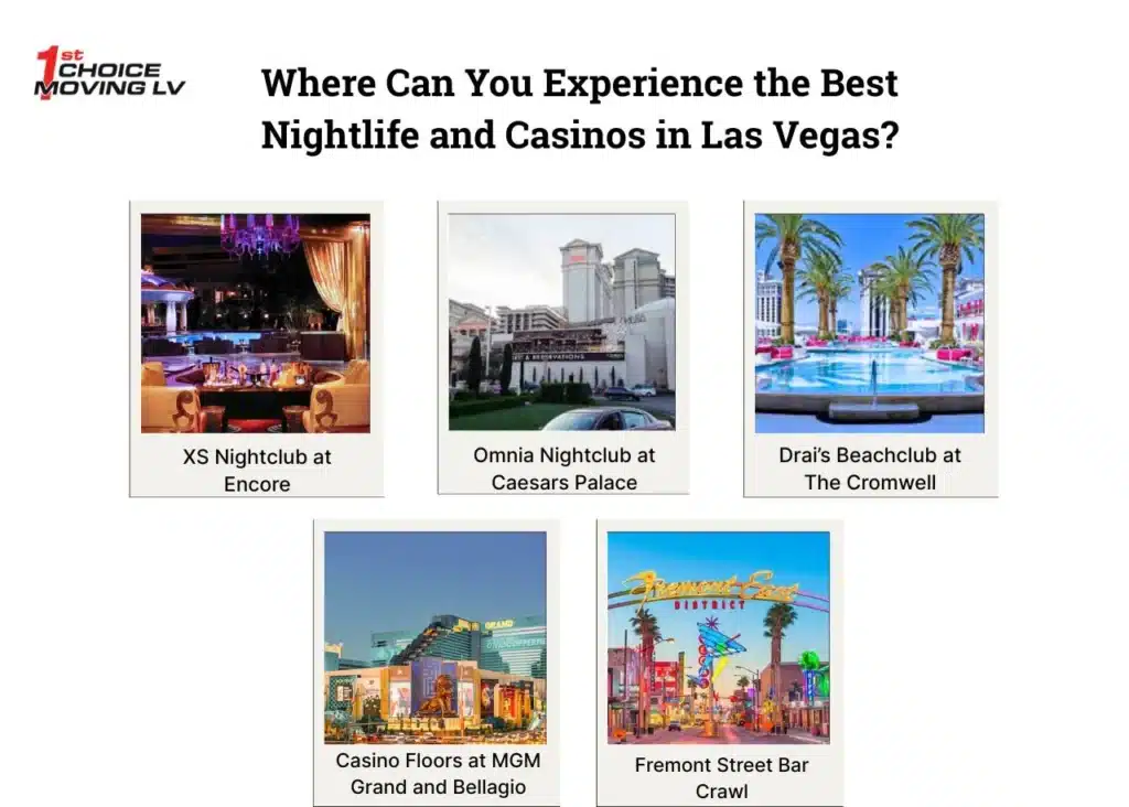 Where Can You Experience the Best Nightlife and Casinos in Las Vegas_